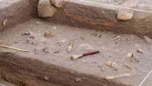 Odkryty szkielet Homo habilis stanowi zagadkę o początkach ludzkości w Afryce