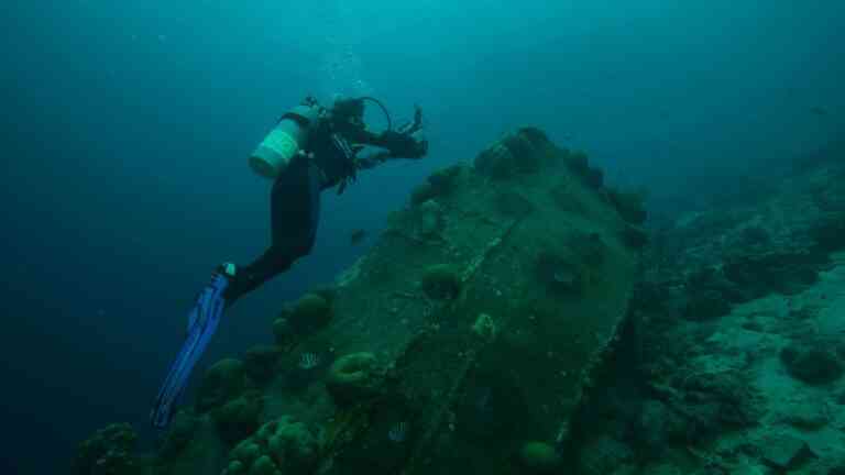 Na dnie cieśniny Sund odnaleziono średniowieczny statek handlowy. na zdjeciu: nurek przy wraku