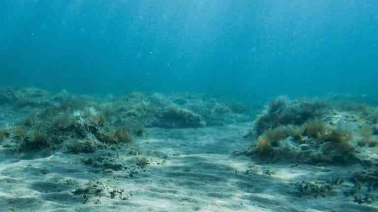 Naukowcy z Australii odkrywają tajemnice dna oceanu