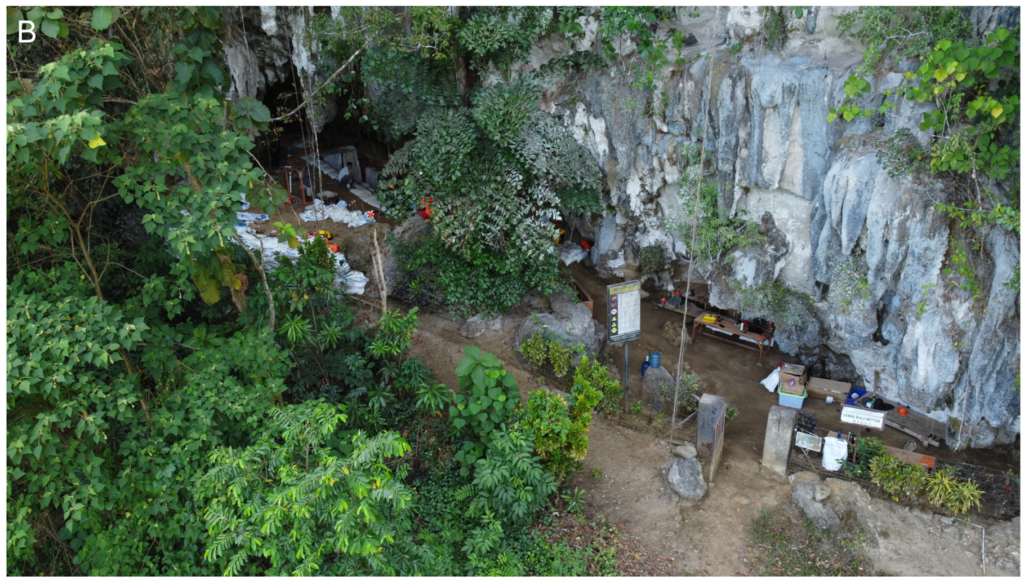 jaskinia w otoczeniu roślinności