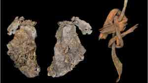 Najstarsze szyte ubranie znaleziono w Oregonie. Na zdjęciu: fragmenty szytej skóry