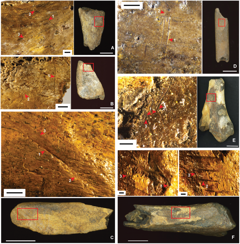 wykopaliska archeologiczne