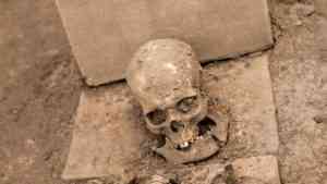 czaszka leży na betonie