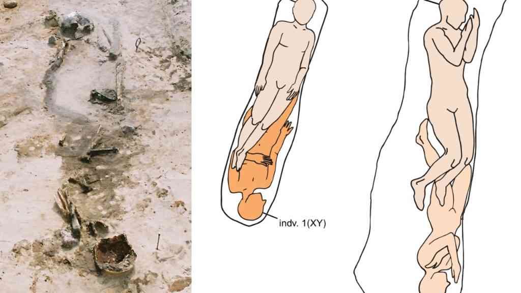 rozkład zwłok ludzkich w grobie