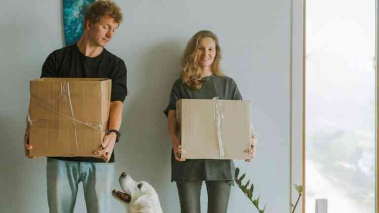 uśmiechnięta para trzyma kartony i patrzy na psa z entuzjazmem.