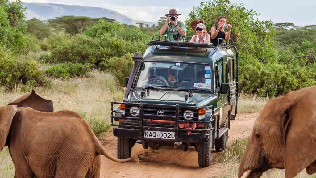 Turyści fotografują słonie podczas safari w ramach wycieczki all inclusive